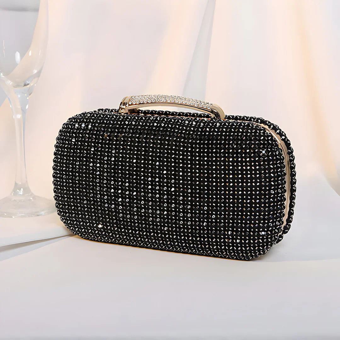 Vioraia (CS) Sara Diamond Encrusted Clutch Bag