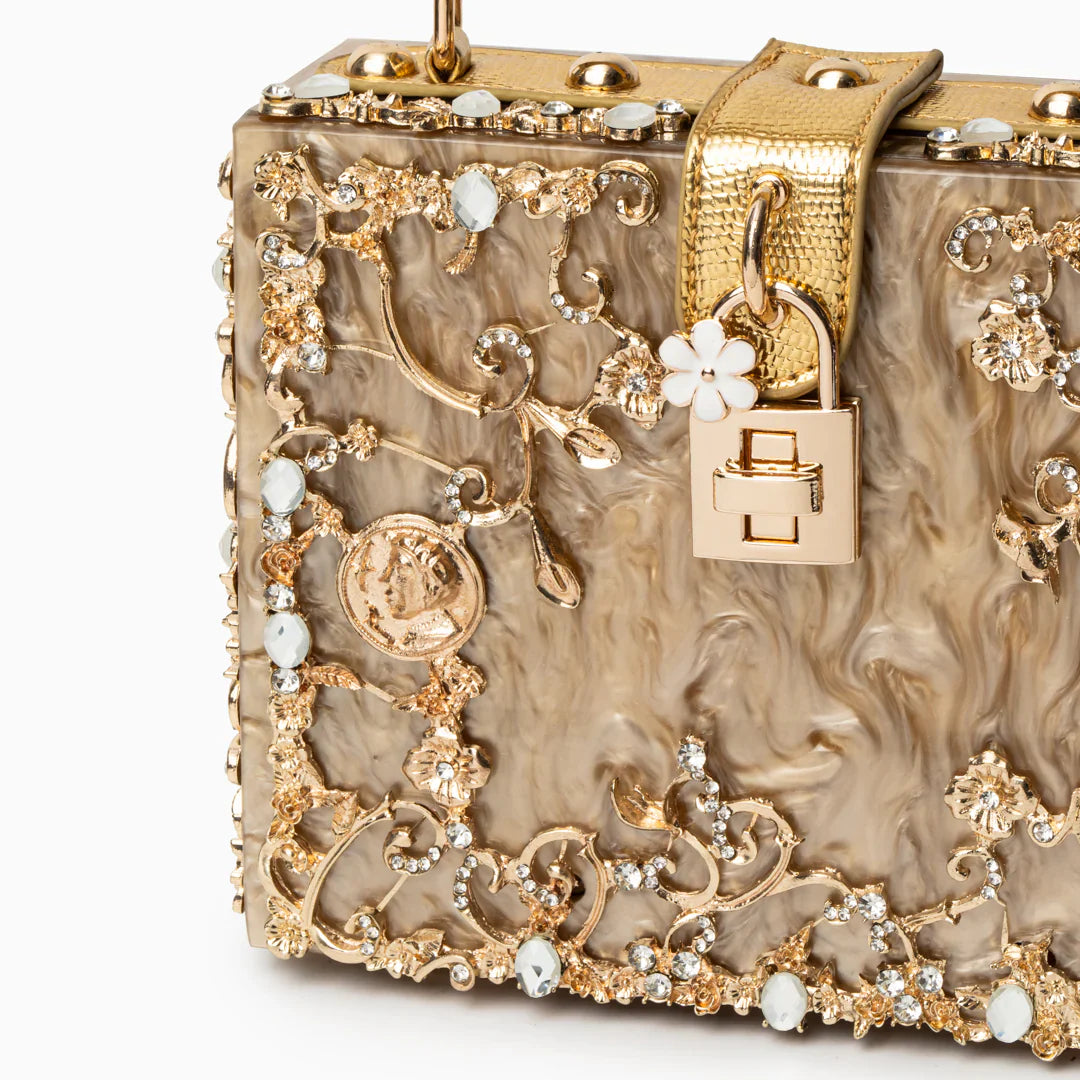 Vioraia (CS) Acrylic Box Handbag